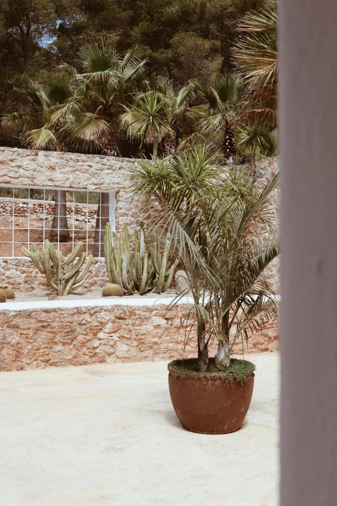 Pure House Ibiza Hotell Sant Jordi de ses Salines Eksteriør bilde